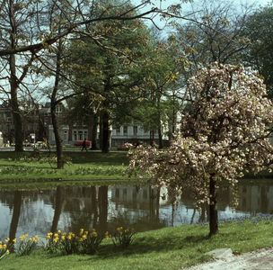 119382 Gezicht op de Stadsbuitengracht te Utrecht, vanaf het Lepelenburg, met op de voorgrond een bloeiende boom en op ...